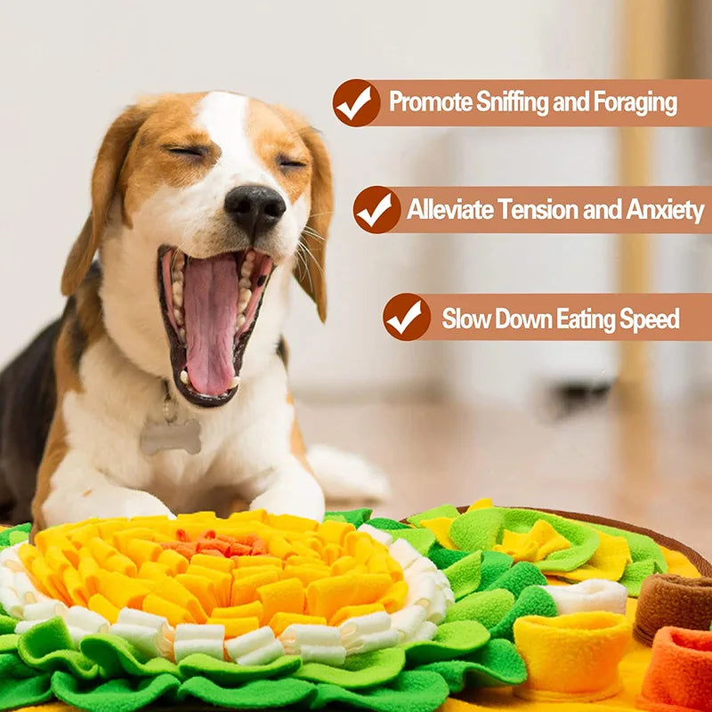 Snuffle Mat (Interactive Feeding Toy)